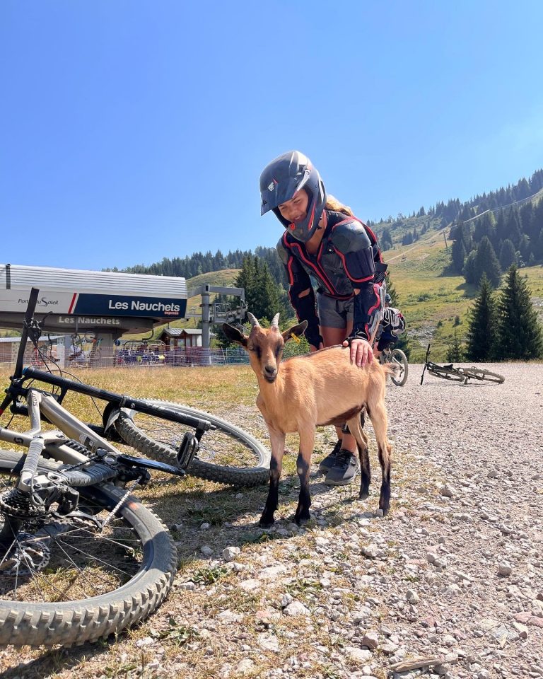 0CAE35D0-1BF7-4DD2-A7E3-F1C42B2996C8