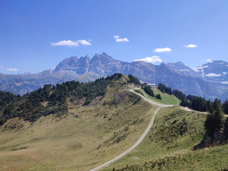 817f4c02-49f1-4353-91c6-80b5e4b742e1